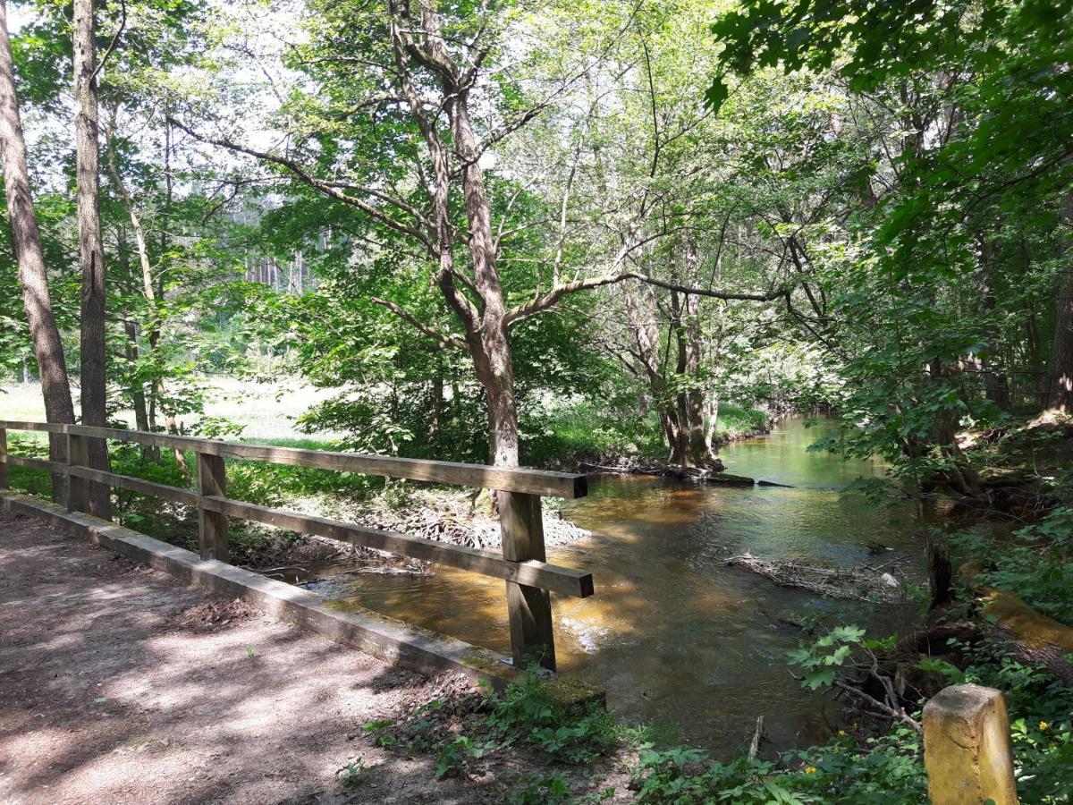 Mazury domek całoroczny Pelnik gm Ostróda jezioro las Exterior foto